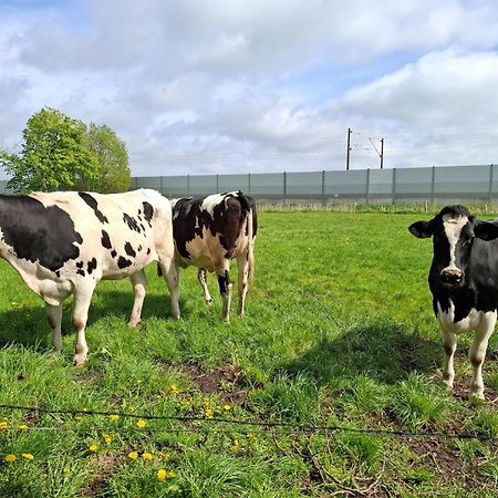 Ferienwohnung Naeve - Gemuetliche Wohnung Auf Dem Lande Mit Zwei Schlafzimmern Barderup Exteriör bild